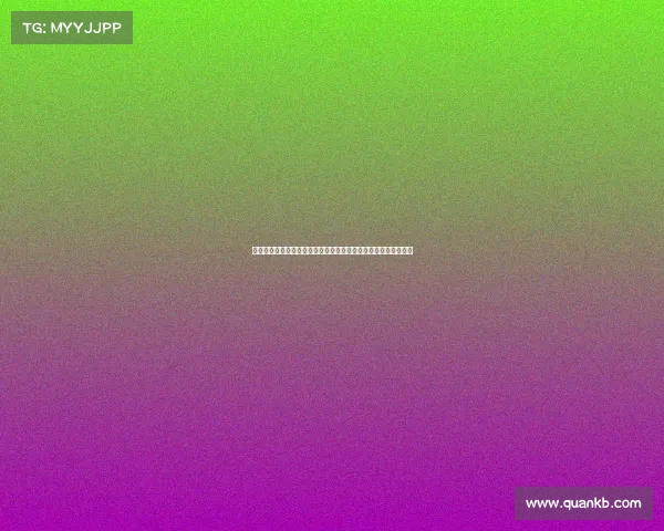 德甲联赛最新动态解析：聚焦赛季表现、球队战术与球员转会热点